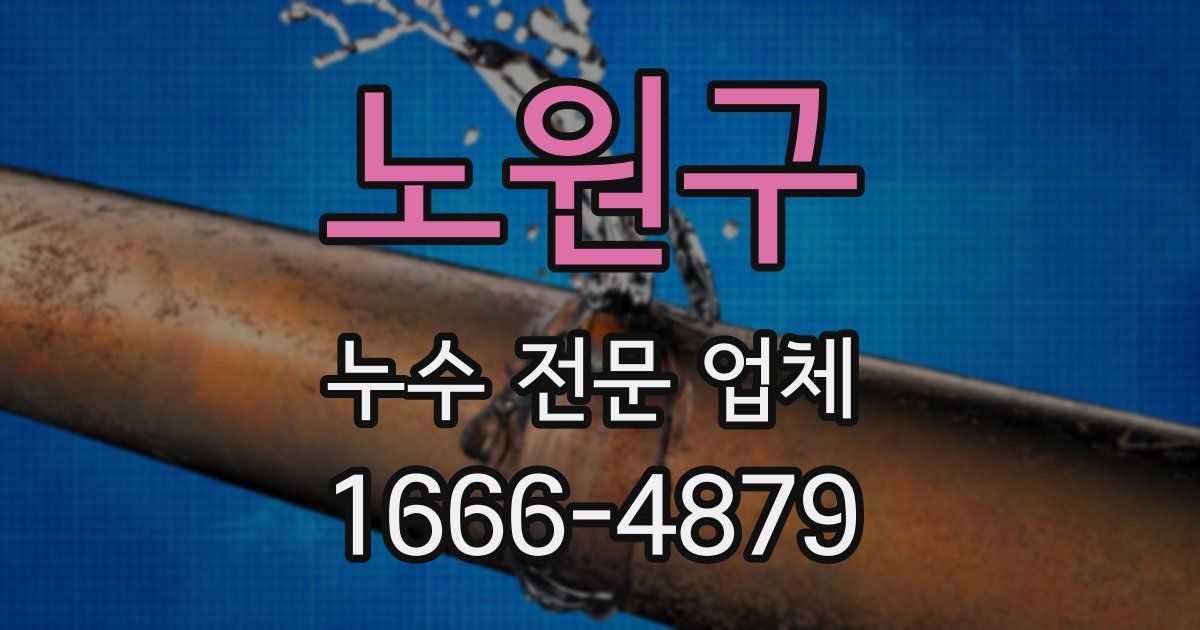 노원구 누수 전문 업체