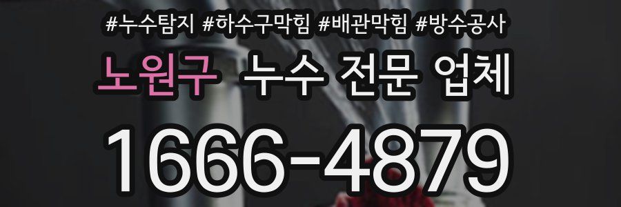 노원구 누수 전문 업체