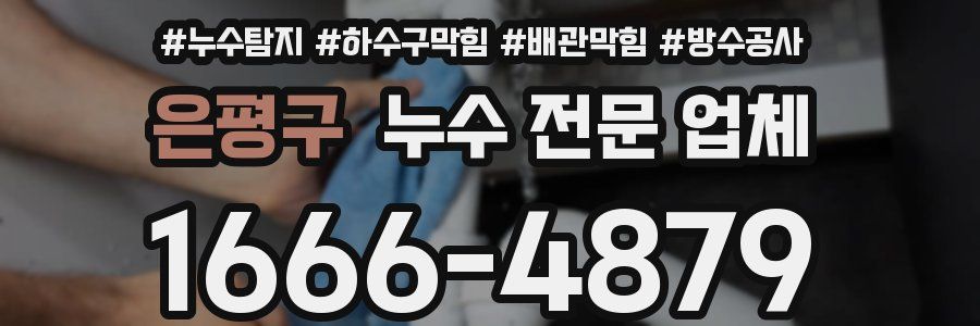 은평구 누수 전문 업체
