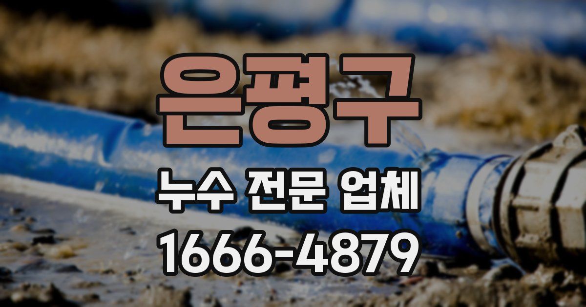 은평구 누수 전문 업체