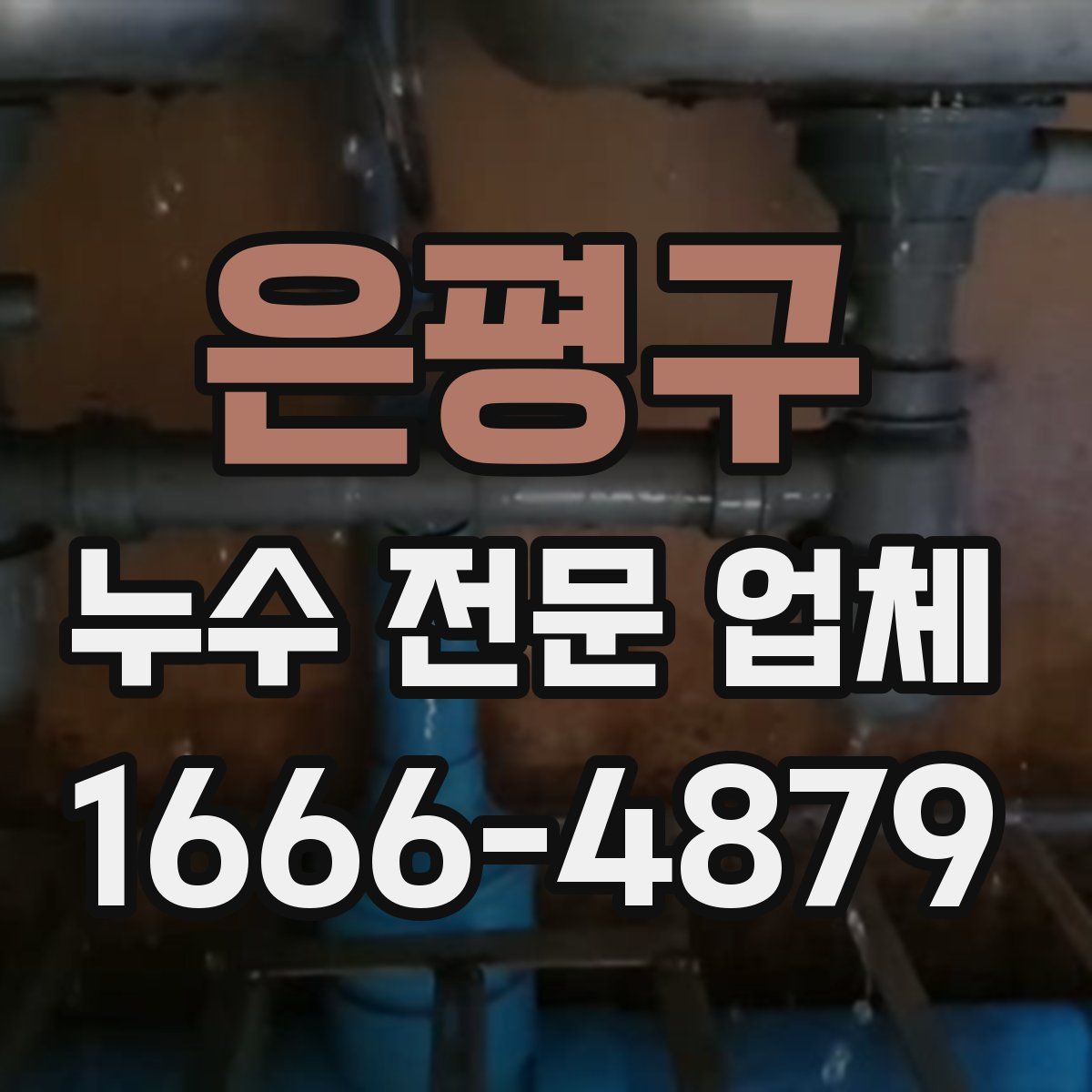 은평구 누수 전문 업체