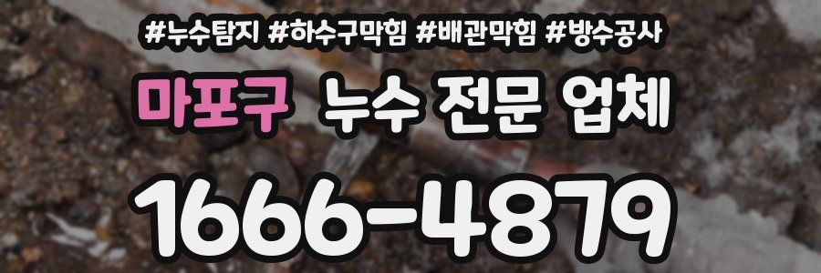 마포구 누수 전문 업체