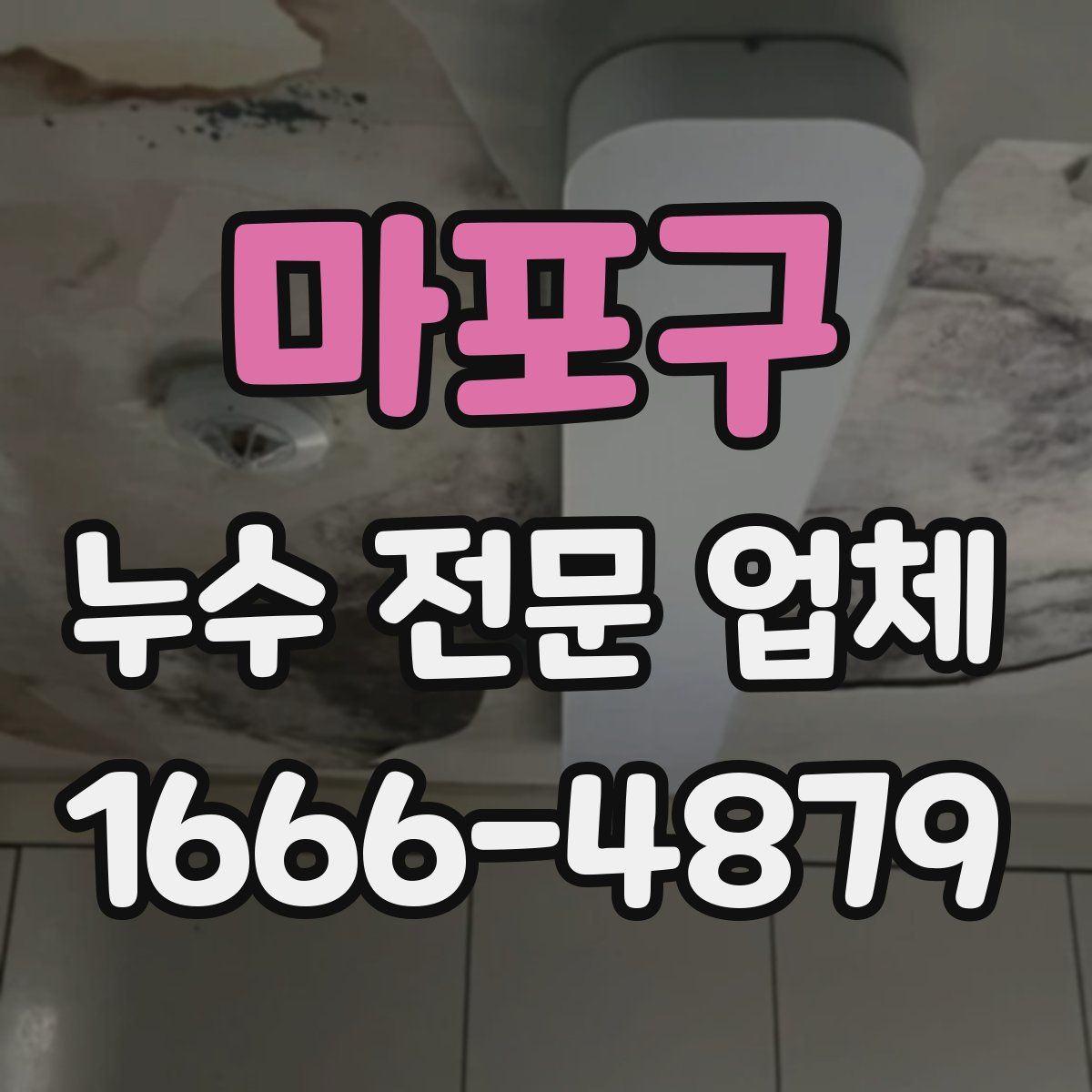 마포구 누수 전문 업체