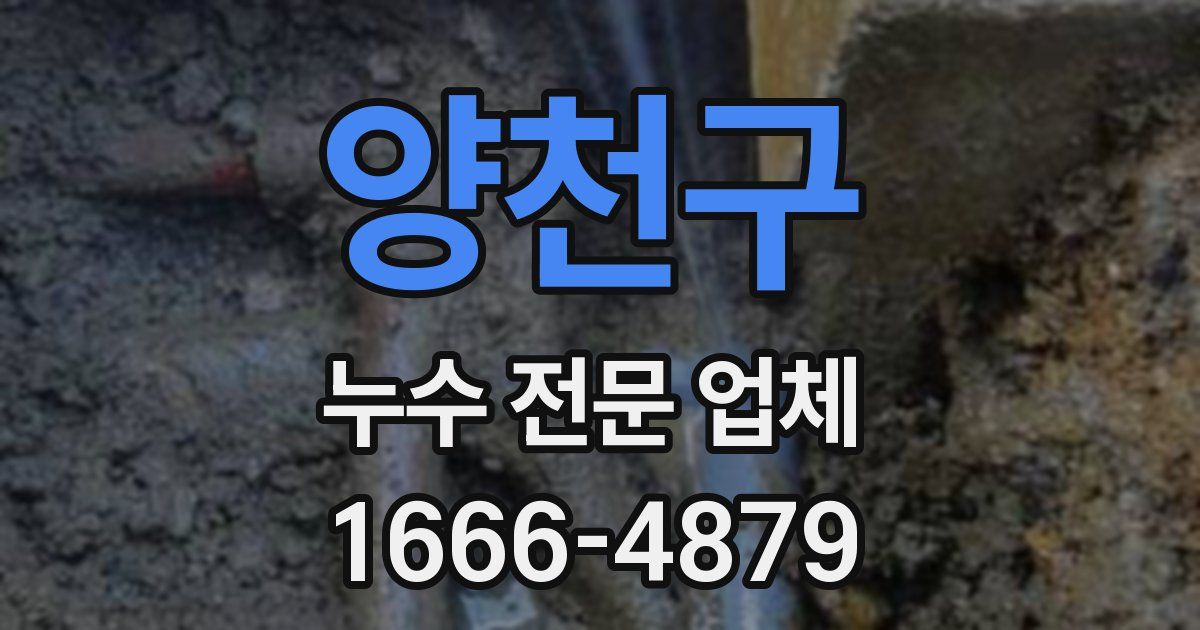 양천구 누수 전문 업체