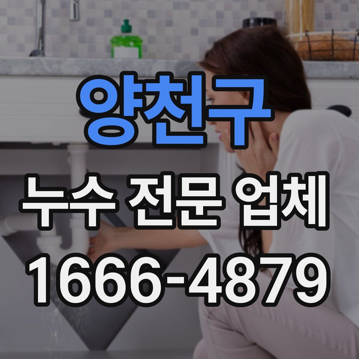 양천구 누수 전문 업체