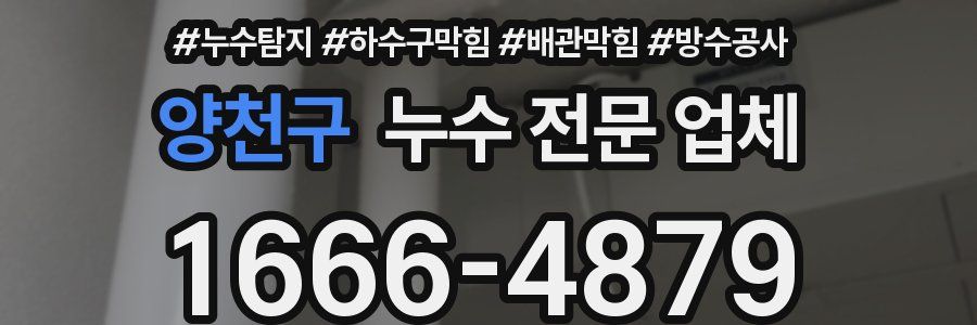 양천구 누수 전문 업체