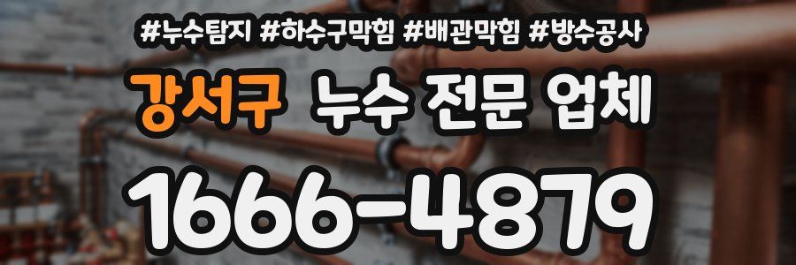 강서구 누수 전문 업체