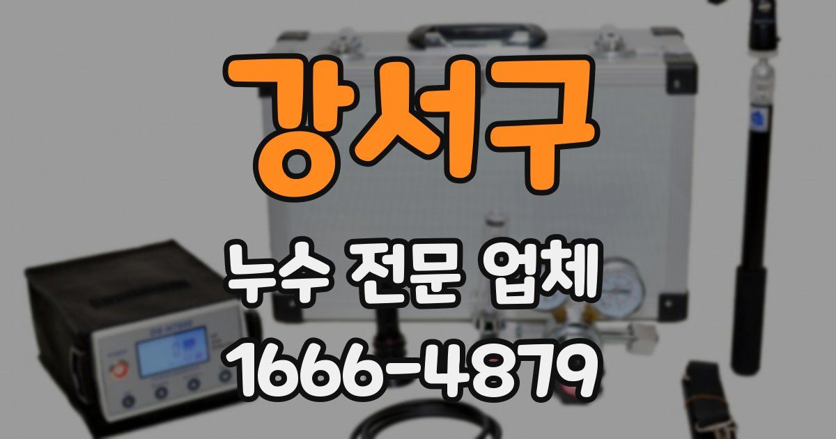 강서구 누수 전문 업체