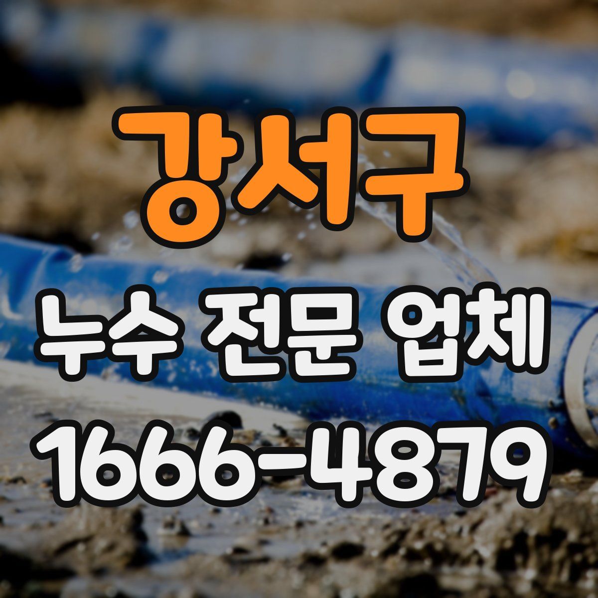 강서구 누수 전문 업체