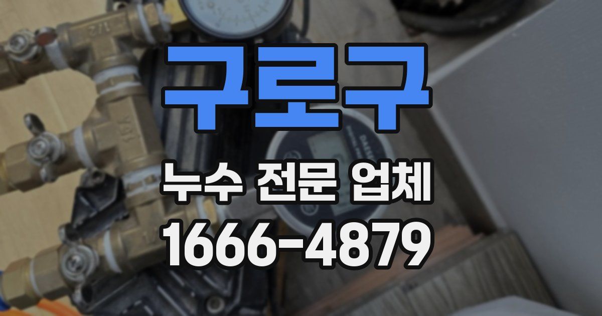구로구 누수 전문 업체
