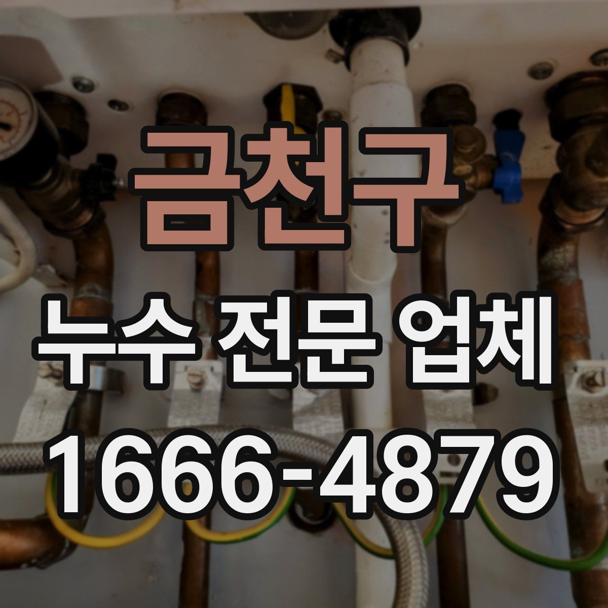 금천구 누수 전문 업체