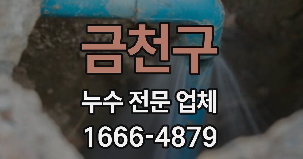금천구 누수 전문 업체