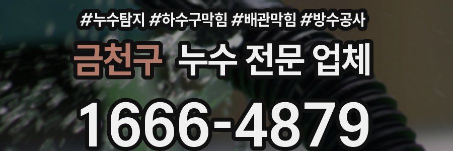 금천구 누수 전문 업체