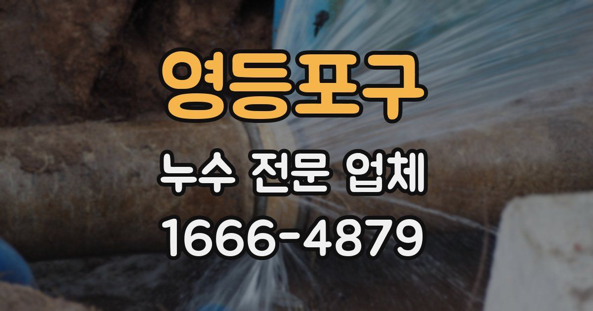 영등포구 누수 전문 업체