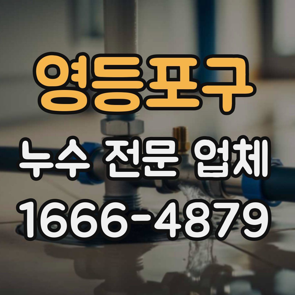 영등포구 누수 전문 업체
