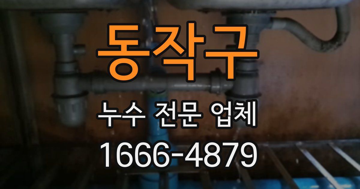 동작구 누수 전문 업체