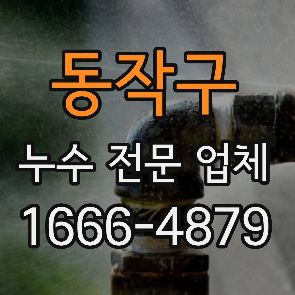 동작구 누수 전문 업체
