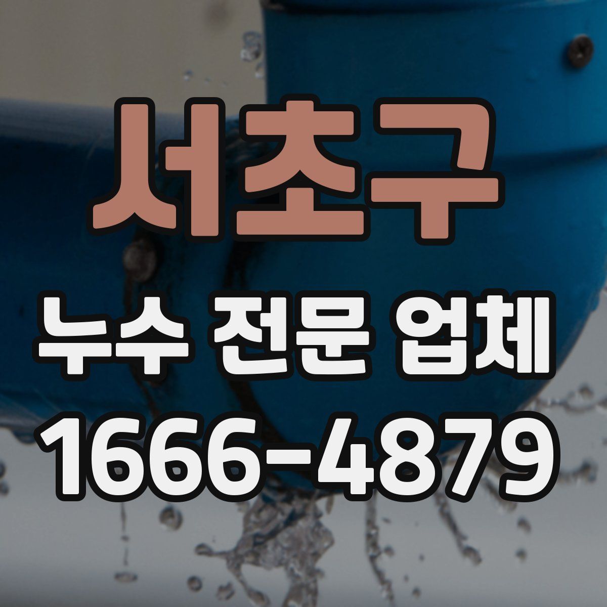 서초구 누수 전문 업체
