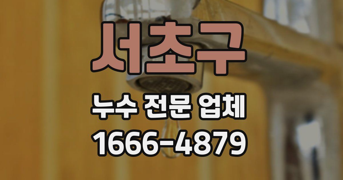 서초구 누수 전문 업체