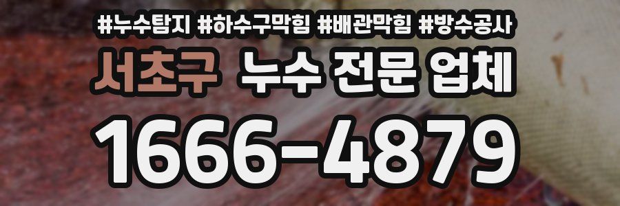 서초구 누수 전문 업체
