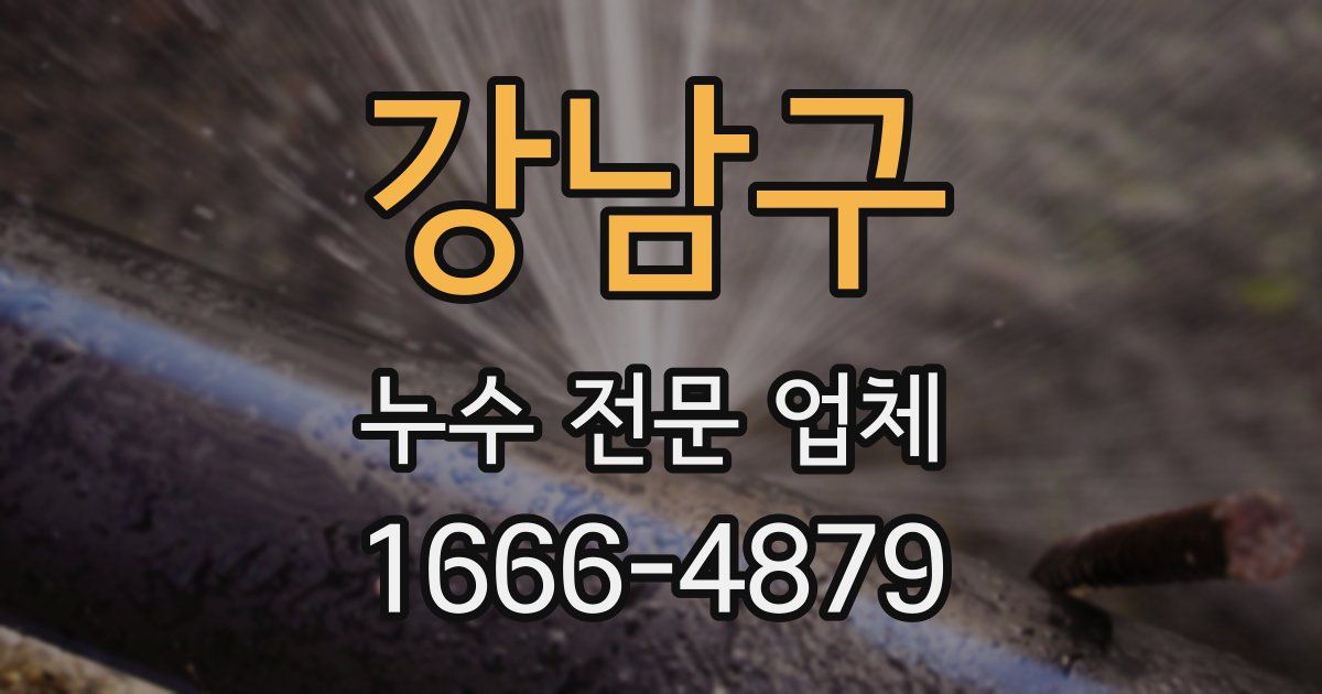 강남구 누수 전문 업체