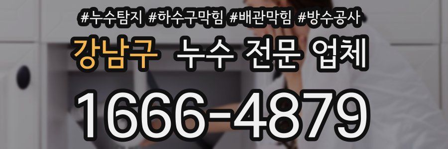강남구 누수 전문 업체