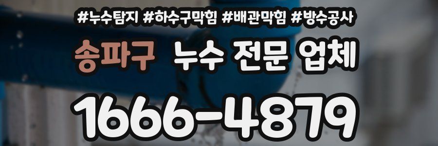 송파구 누수 전문 업체