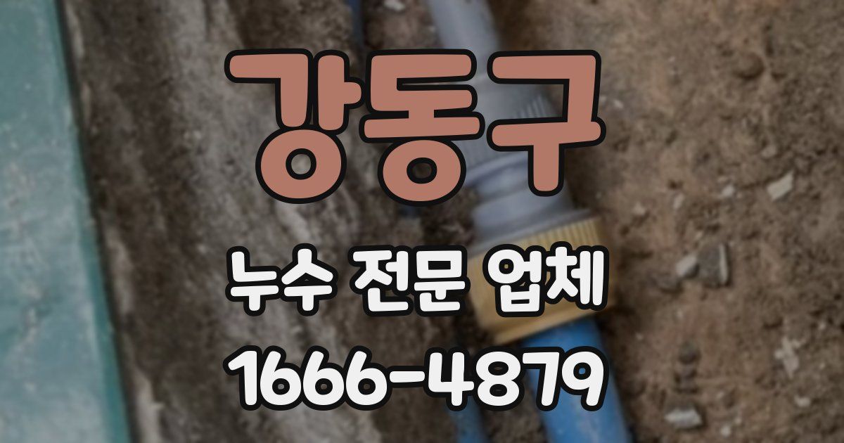 강동구 누수 전문 업체
