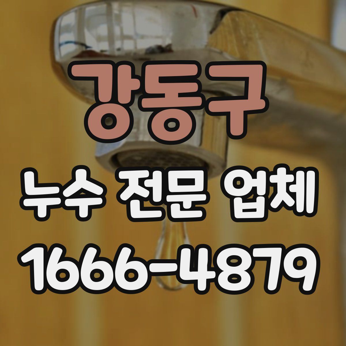 강동구 누수 전문 업체