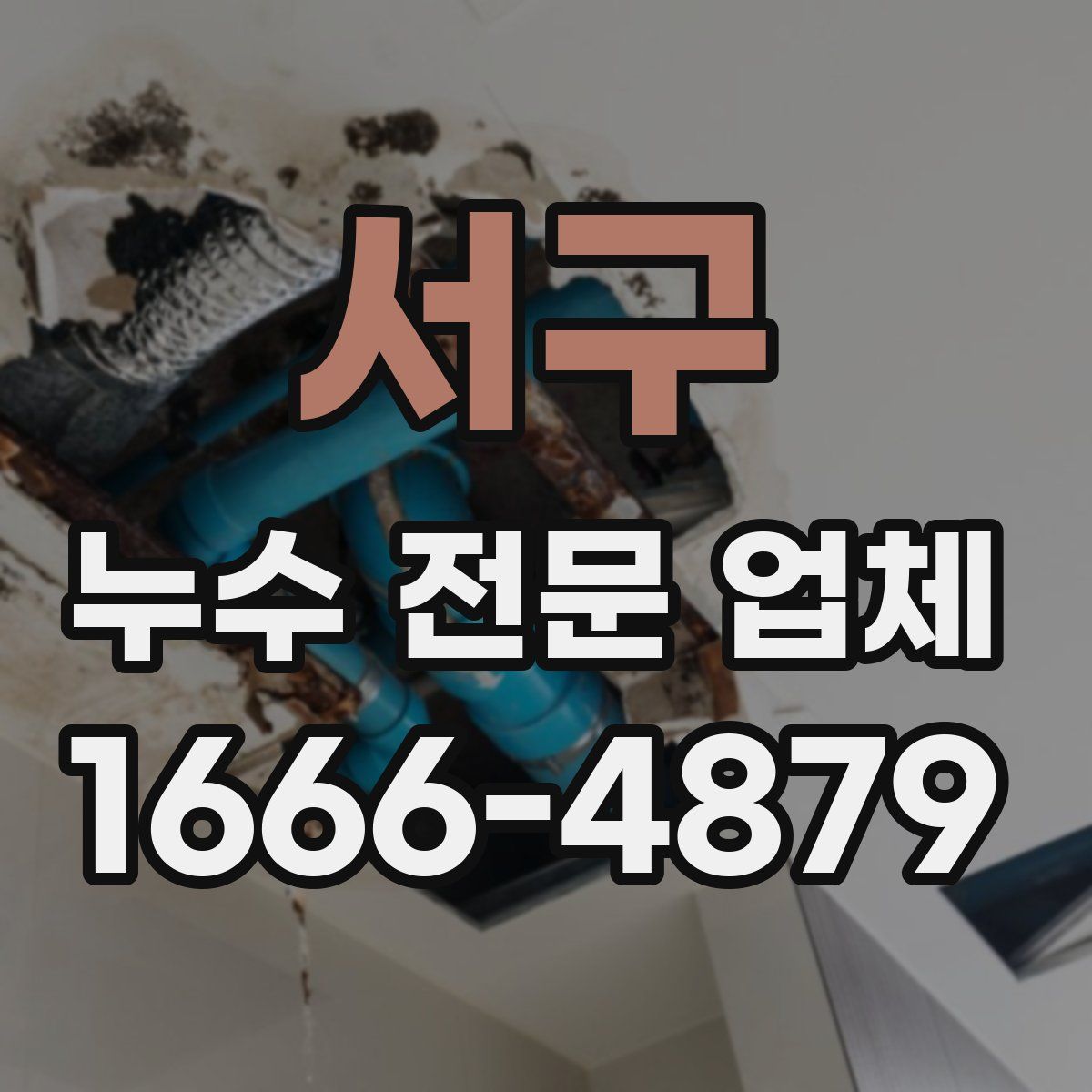 서구 누수 전문 업체