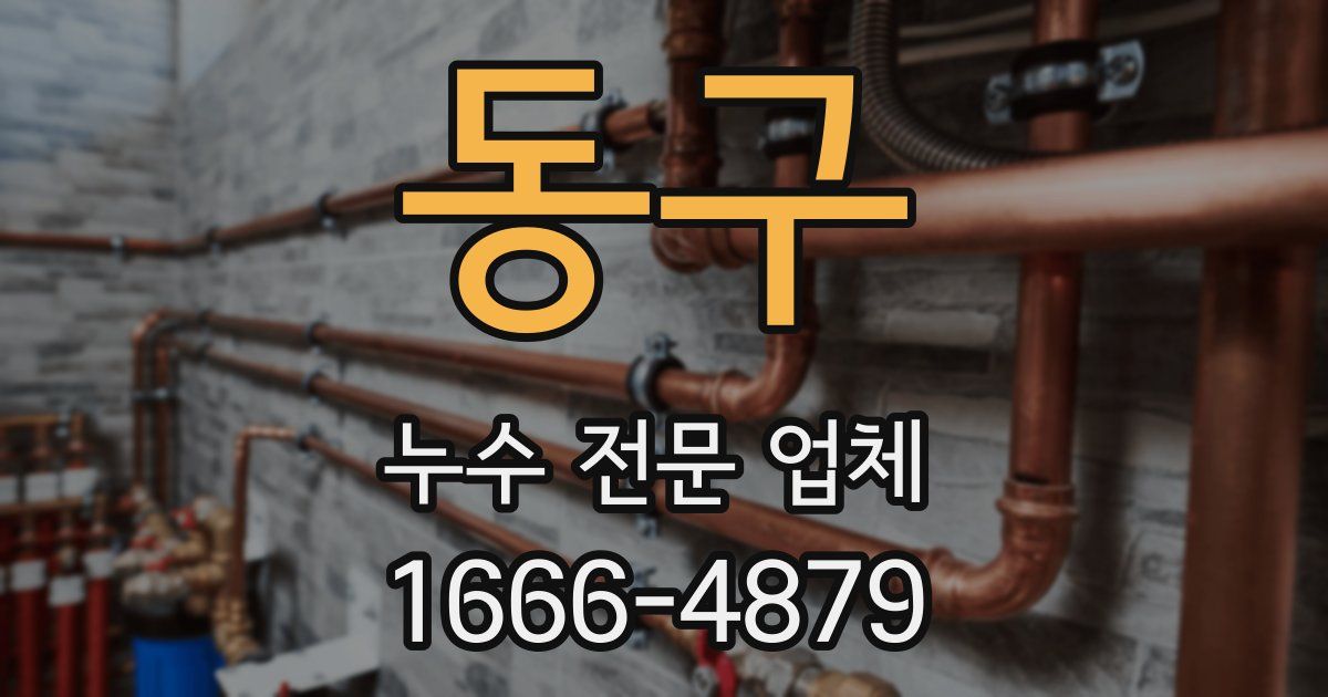 동구 누수 전문 업체