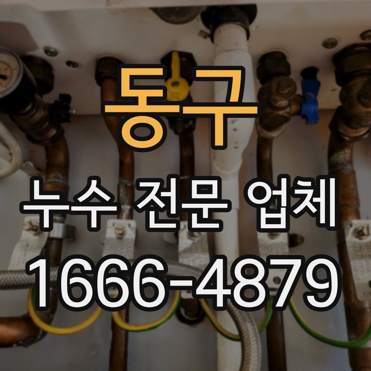 동구 누수 전문 업체
