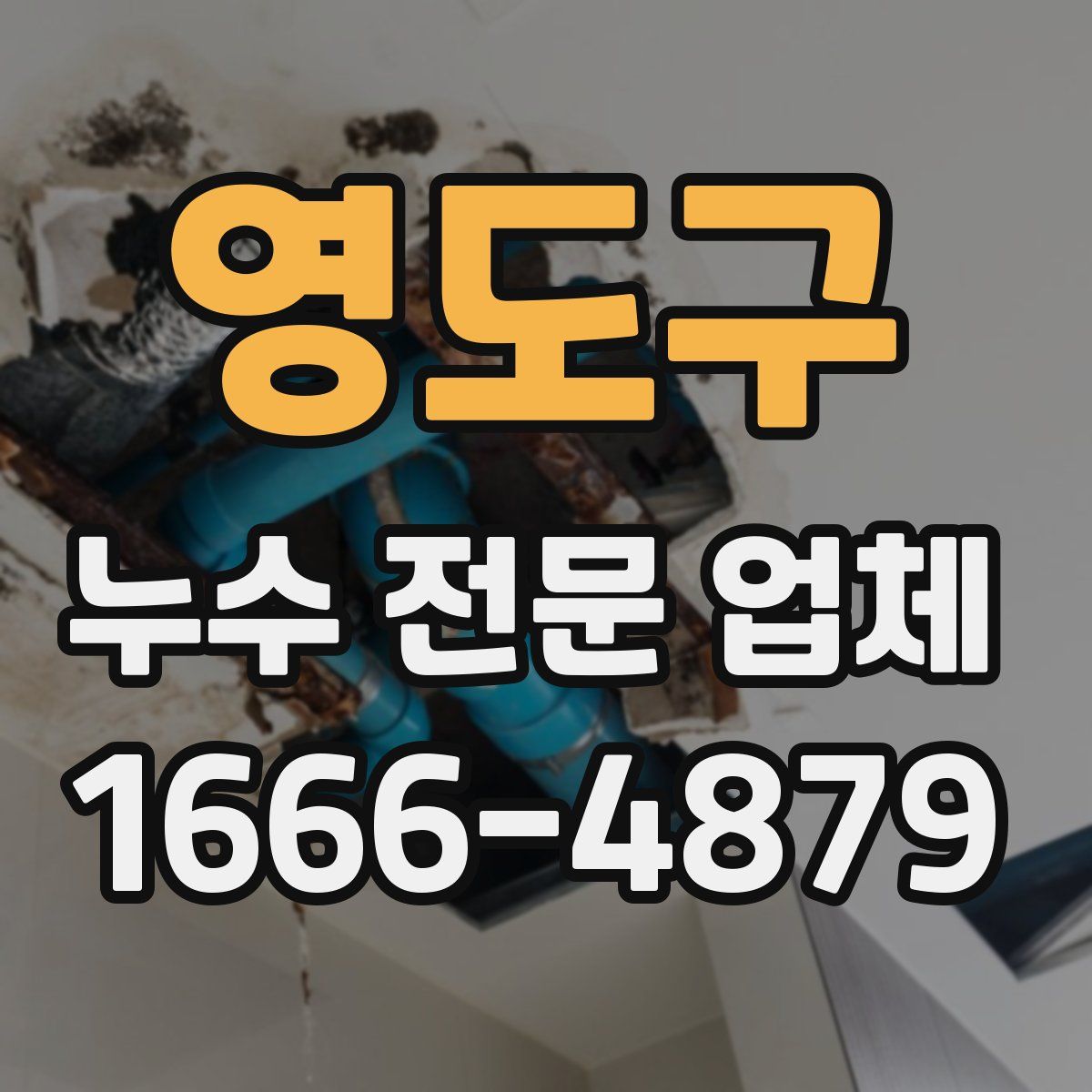 영도구 누수 전문 업체