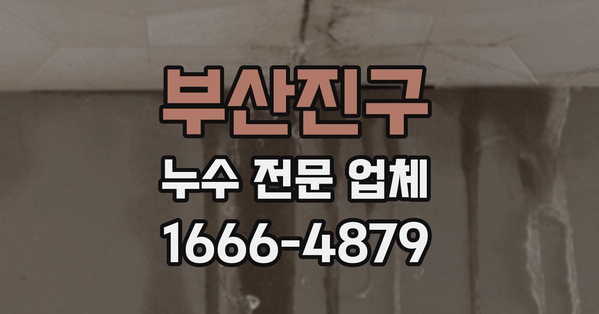부산진구 누수 전문 업체