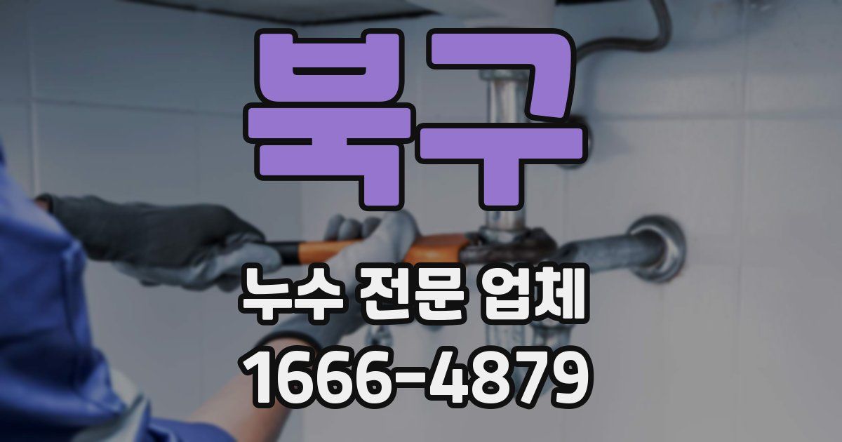북구 누수 전문 업체