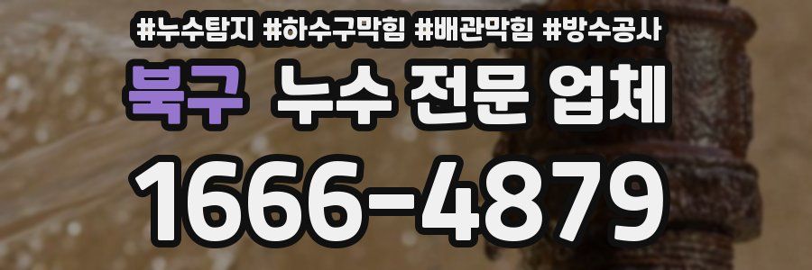 북구 누수 전문 업체