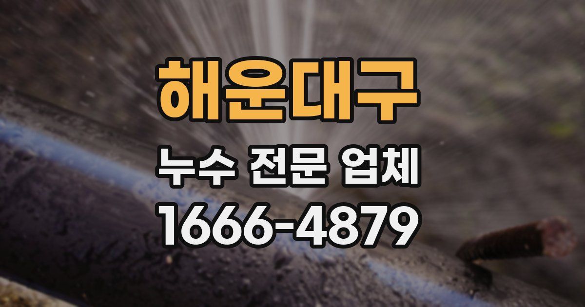해운대구 누수 전문 업체