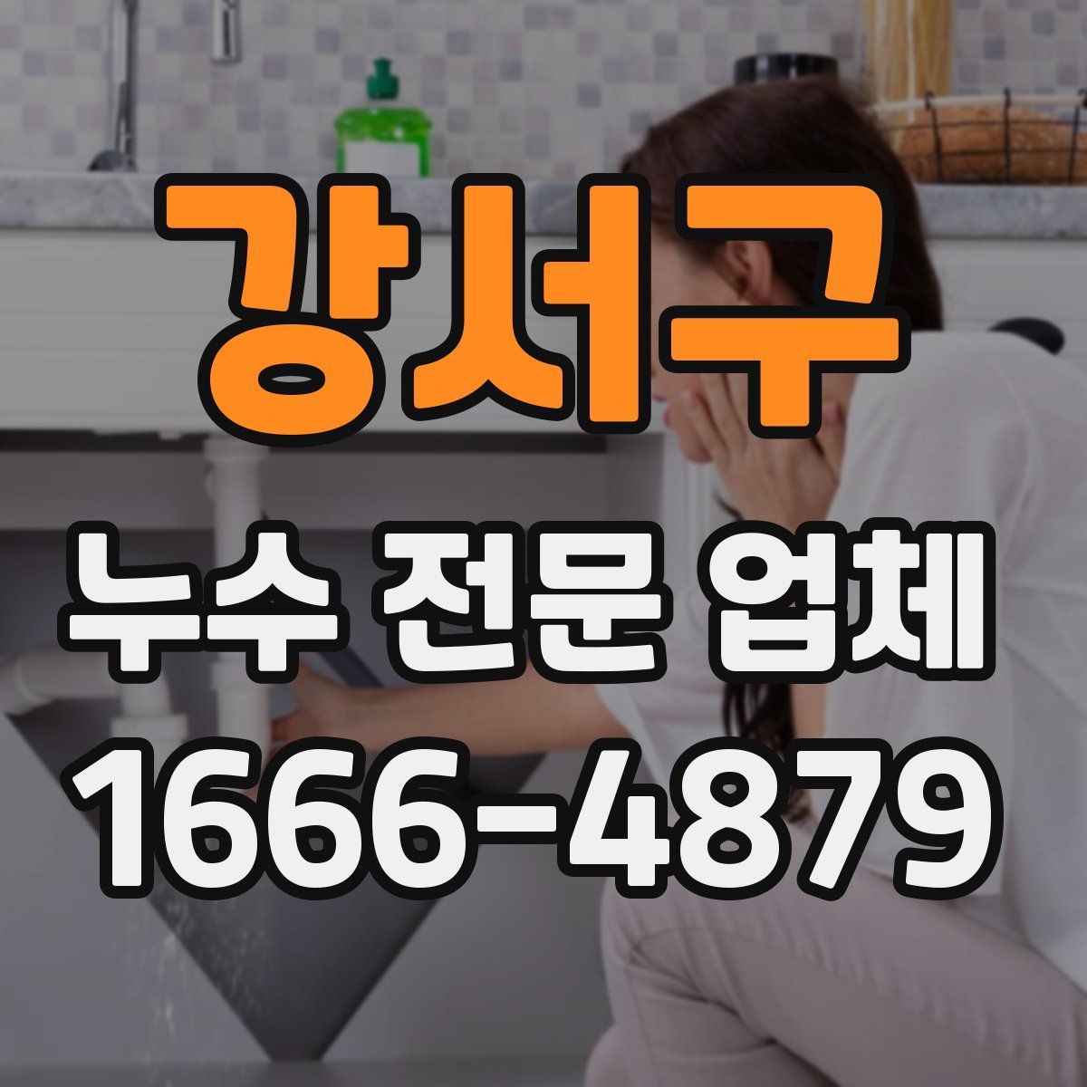 강서구 누수 전문 업체