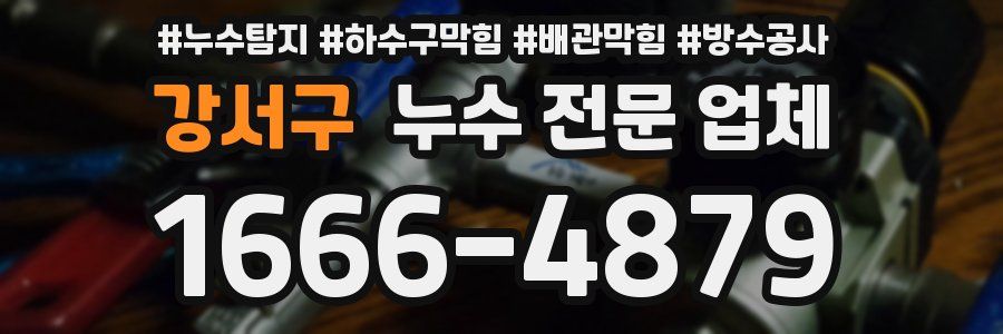 강서구 누수 전문 업체
