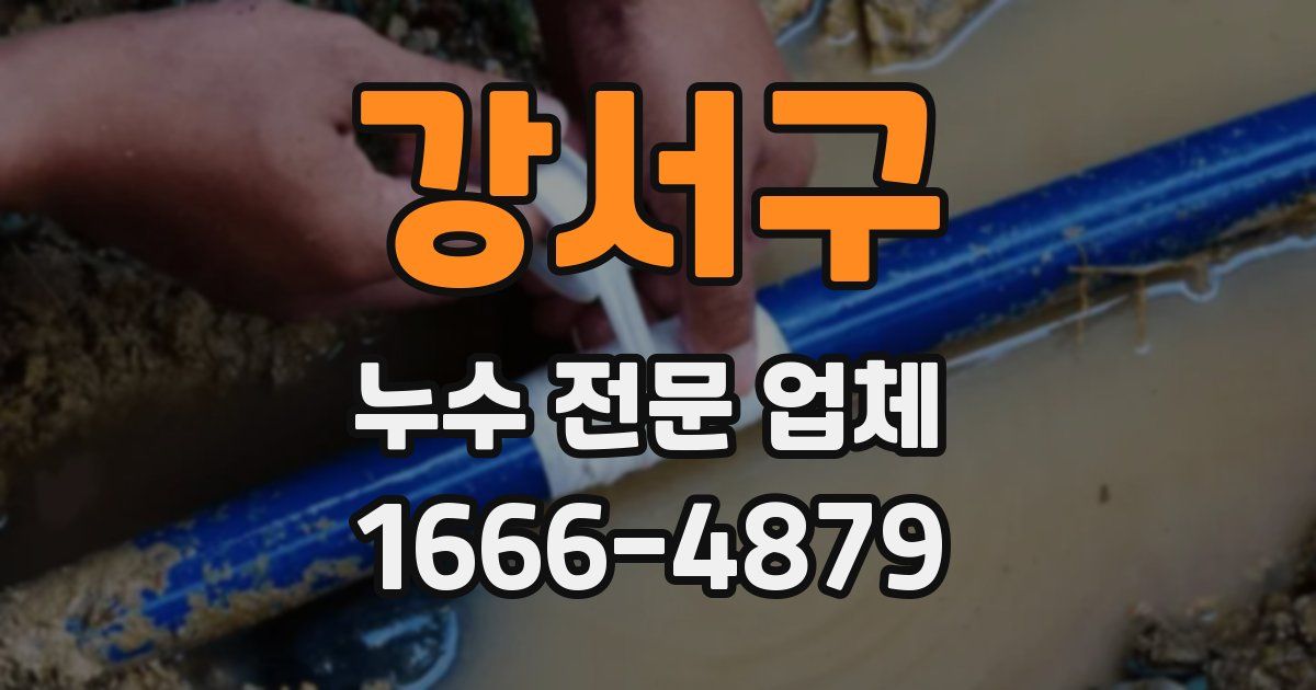 강서구 누수 전문 업체