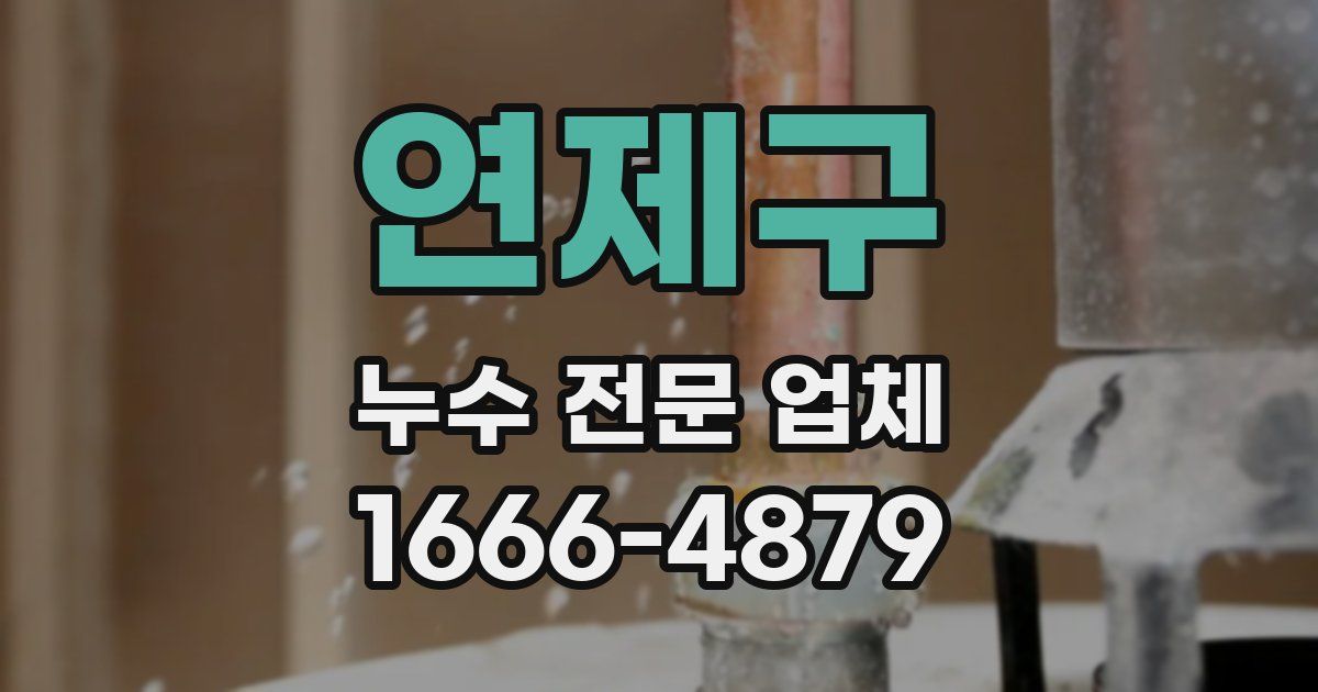연제구 누수 전문 업체