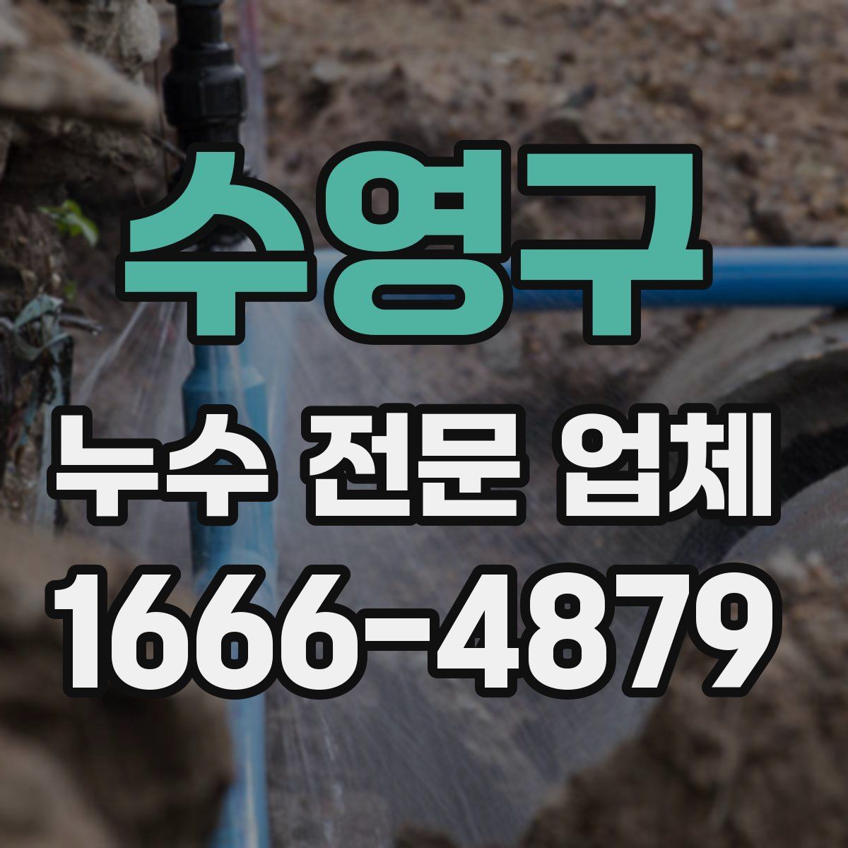 수영구 누수 전문 업체