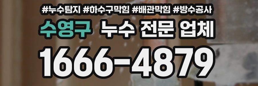 수영구 누수 전문 업체