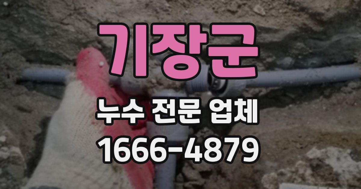 기장군 누수 전문 업체