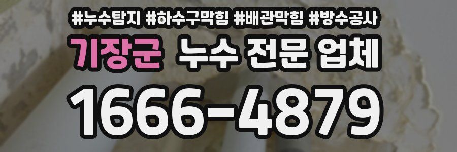 기장군 누수 전문 업체