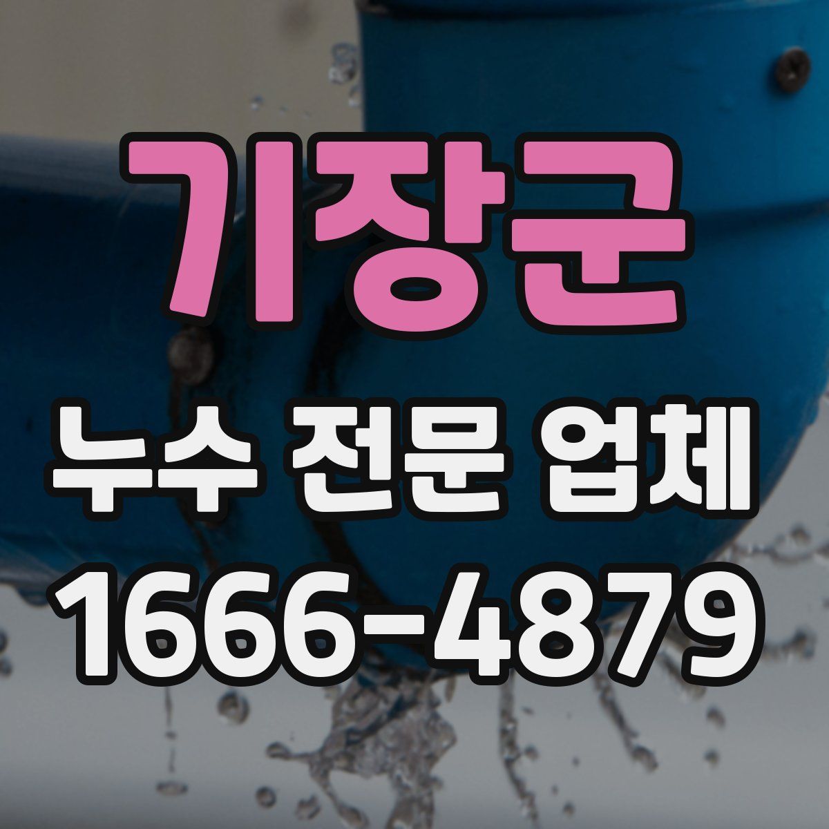 기장군 누수 전문 업체