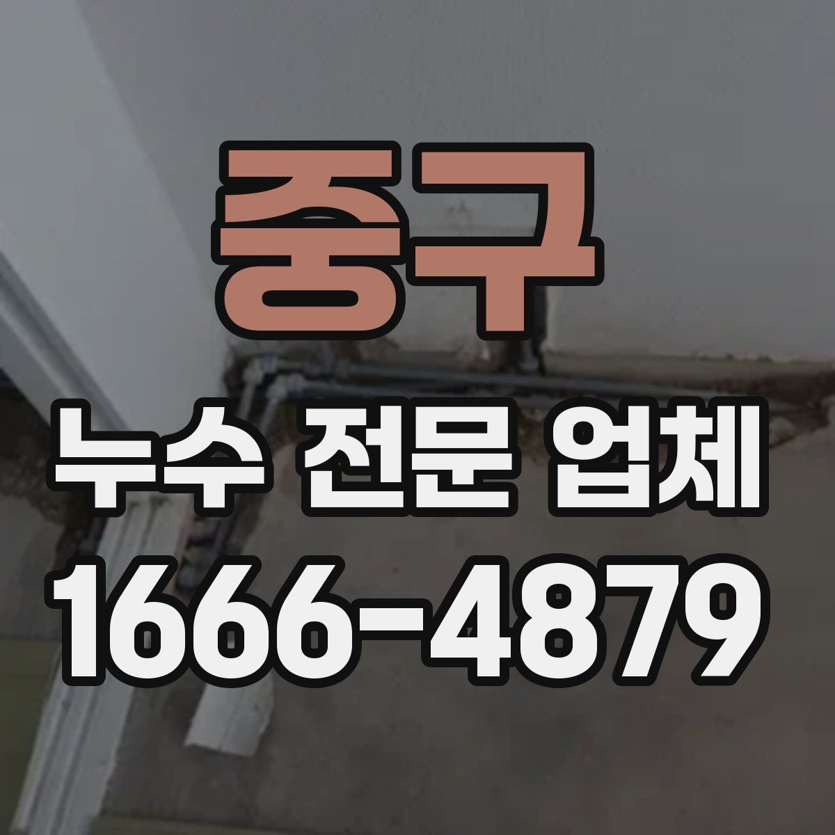 중구 누수 전문 업체