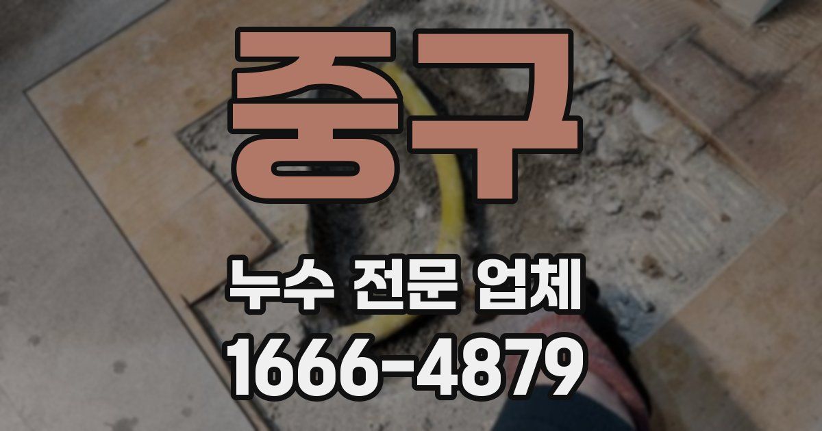 중구 누수 전문 업체