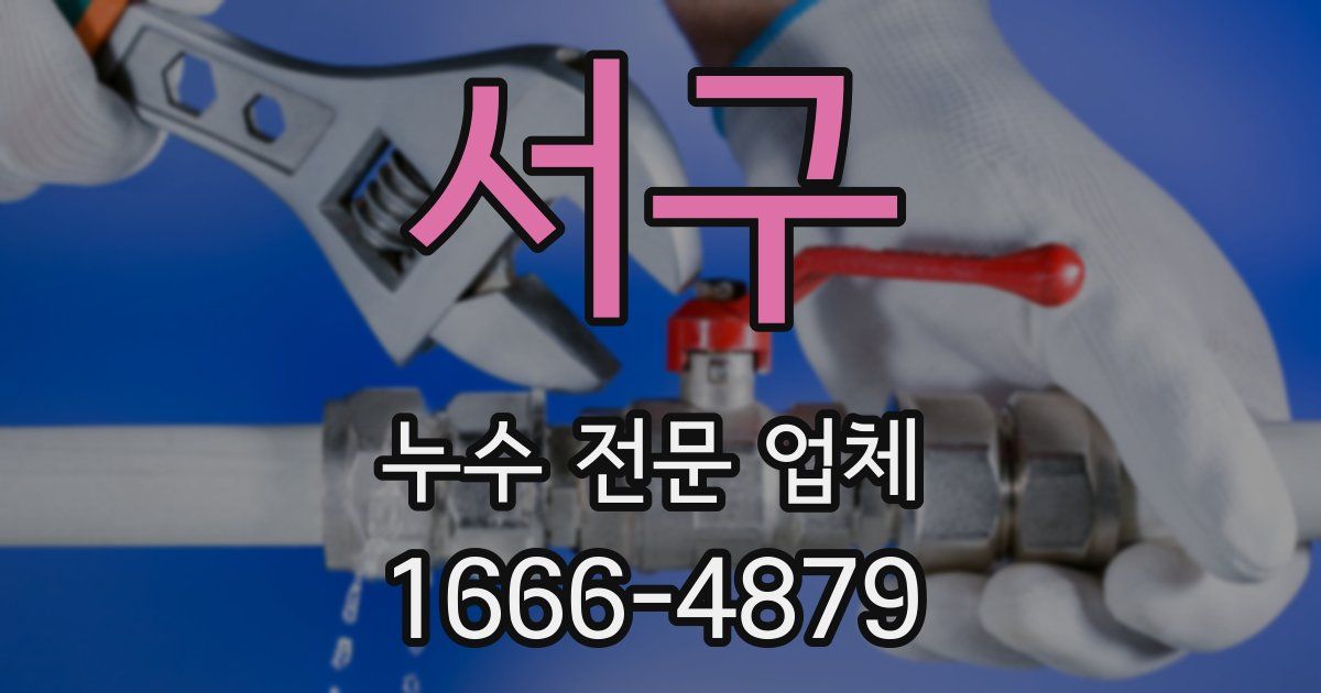 서구 누수 전문 업체