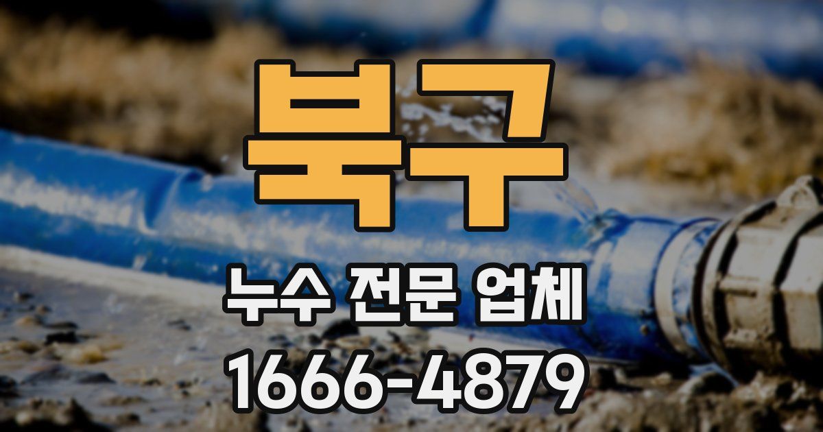 북구 누수 전문 업체